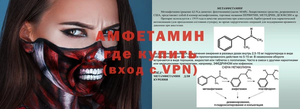 ПСИЛОЦИБИНОВЫЕ ГРИБЫ Козловка