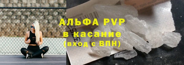 ПСИЛОЦИБИНОВЫЕ ГРИБЫ Козловка