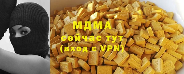 ПСИЛОЦИБИНОВЫЕ ГРИБЫ Козловка