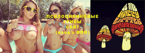 ПСИЛОЦИБИНОВЫЕ ГРИБЫ Козловка